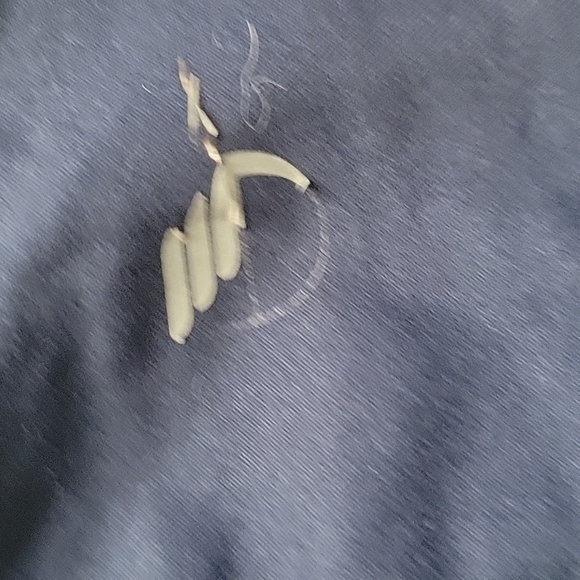 🌻4 for $15🌻 size XL athletic shorts - Picture 3 of 4